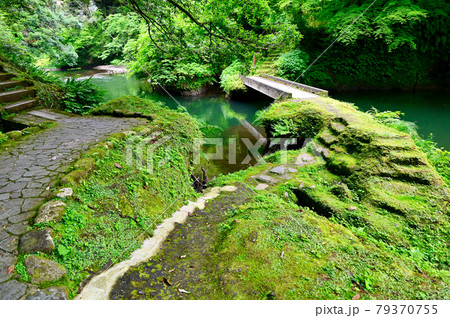 石川県　山中温泉鶴仙渓散策路 79370755