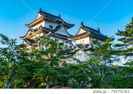 伊賀上野城の夕景 79370782