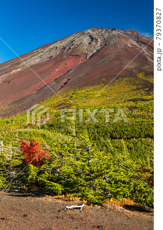 山梨　奥庭展望地からの富士山 79370827