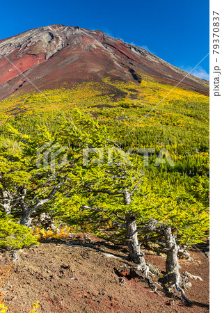 山梨　奥庭展望地からの富士山 79370837