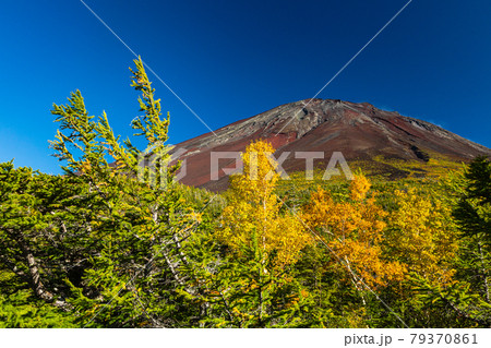 山梨 奥庭展望地からの富士山 山梨 奥庭展望地からの富士山 79370861