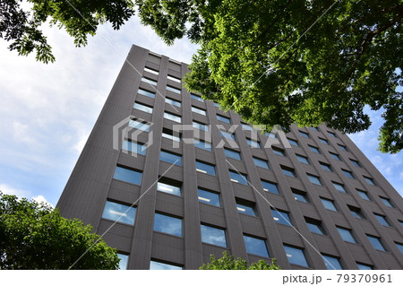 宮城　仙台市　定禅寺通り　メディアテーク　周辺の風景 79370961