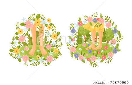 Bare Feet Walking Through the Field or Meadow Touching Soft Green Grass Vector Scene Set 79370969