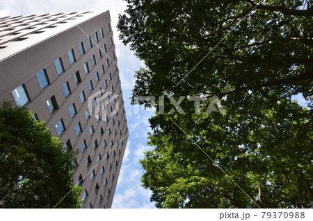 宮城　仙台市　定禅寺通り　メディアテーク　周辺の風景 79370988
