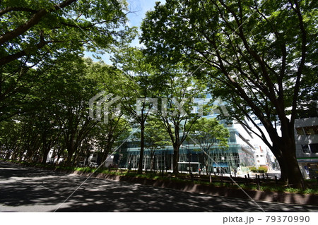 宮城 仙台市 定禅寺通り メディアテーク 周辺の風景 宮城 仙台市 定禅寺通り メディアテーク 周辺の風景 79370990