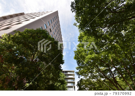 宮城 仙台市 定禅寺通り メディアテーク 周辺の風景 宮城 仙台市 定禅寺通り メディアテーク 周辺の風景 79370992