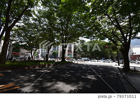 宮城　仙台市　定禅寺通り　メディアテーク　周辺の風景 79371011