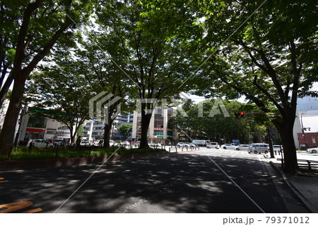宮城　仙台市　定禅寺通り　メディアテーク　周辺の風景 79371012