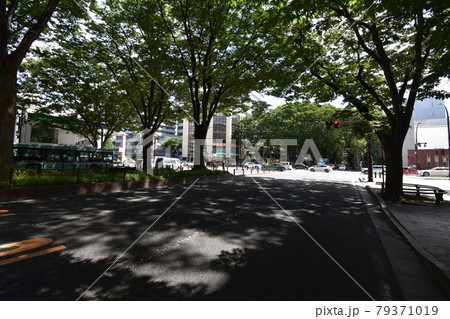 宮城　仙台市　定禅寺通り　メディアテーク　周辺の風景 79371019