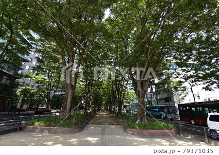 宮城 仙台市 定禅寺通り メディアテーク 周辺の風景 宮城 仙台市 定禅寺通り メディアテーク 周辺の風景 79371035