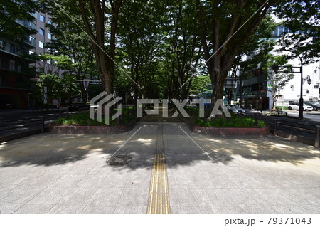 宮城 仙台市 定禅寺通り メディアテーク 周辺の風景 宮城 仙台市 定禅寺通り メディアテーク 周辺の風景 79371043