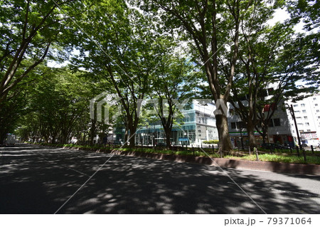 宮城　仙台市　定禅寺通り　メディアテーク　周辺の風景 79371064