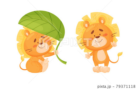 Cartoon Lion Cub Playful Character with Thick Mane Waving Paw and Sitting Under Green Leaf Vector Set 79371118
