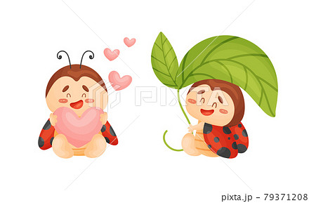 Cartoon Ladybug Holding Green Leaf and Heart Vector Set Cartoon Ladybug Holding Green Leaf and Heart Vector Set 79371208