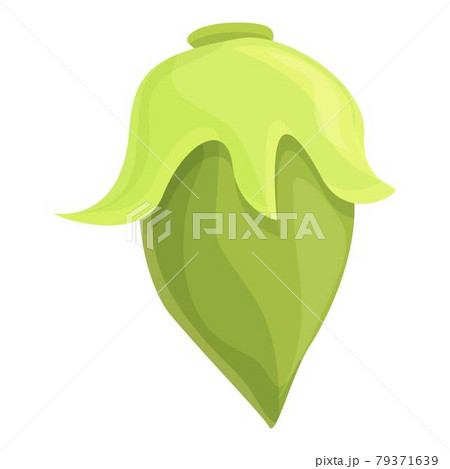 Green lentil icon cartoon vector. Bean vegetable plant Green lentil icon cartoon vector. Bean vegetable plant 79371639