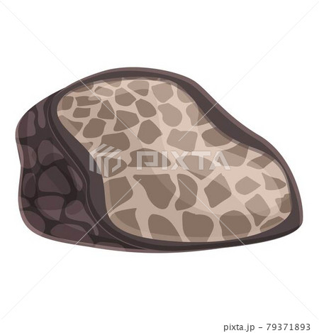 Eco truffle icon cartoon vector. Fungus truffle 79371893