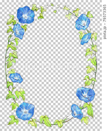 Morning glory oval decorative frame 79373365