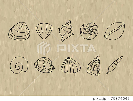 ラフな貝殻のイラスト素材 [79374045] - PIXTA