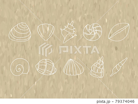 貝殻　手書き 79374046