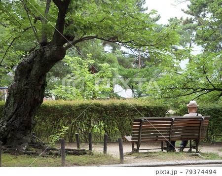 ベンチに座る男性 ベンチに座る男性 79374494