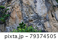 海岸のかっこいい地層 79374505