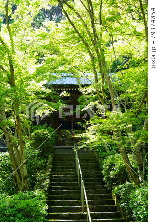勝持寺不動堂（京都市） 79374854