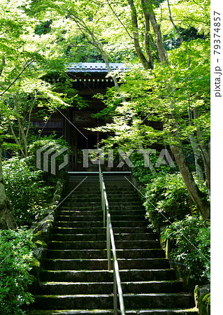 勝持寺不動堂（京都市） 79374857