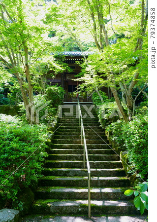 勝持寺不動堂（京都市） 79374858