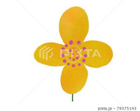 黄色の花 79375143