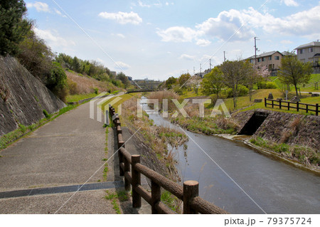三田市けやき台　平谷大橋を背にウッディタウン方向の散策路を望む 79375724