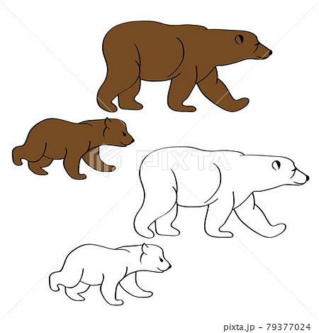 Bear icon isolated on white background. Bear icon modern symbol for graphic Bear icon isolated on white background. Bear icon modern symbol for graphic 79377024