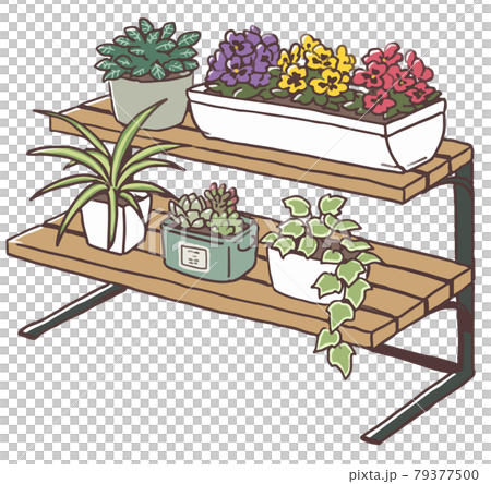 花園架和植物 花園架和植物 79377500