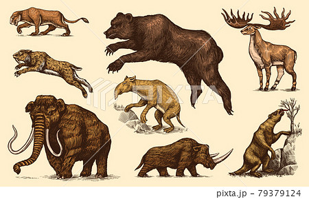 Mammoth or extinct elephant, Woolly rhinoceros Cave bear lion. Panthera Saber toothed tiger, Irish 79379124