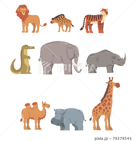 Collection of African Animal, Hippopotamus, Lion, Rhino, Elephant, Crocodile, Wild Predator and Herbivore Jungle Savannah Animals Cartoon Vector Illustration 79379543