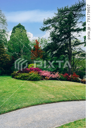 Beautiful Garden with blooming trees during spring time 79379607