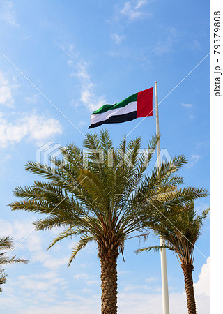 The flag of United Arab Emirates is near Etihad museum and palm tree The flag of United Arab Emirates is near Etihad museum and palm tree 79379808