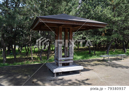 公園のベンチ 公園のベンチ 79380937