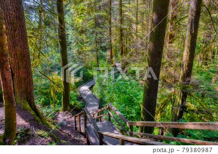 Lynn Canyon Park, North Vancouver, British Columbia, Canada. Lynn Canyon Park, North Vancouver, British Columbia, Canada. 79380987