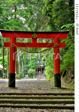 花尾神社の綺麗な鳥居「縦構図」 79382213