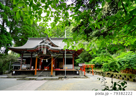 自然の中にある花尾神社 自然の中にある花尾神社 79382222