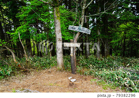 栃木　高原山　矢板市の最高点 79382296