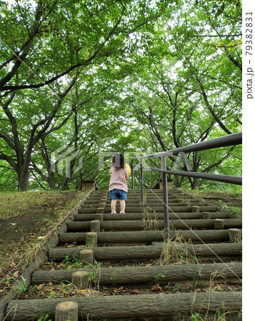 快晴の森林公園 快晴の森林公園 79382831