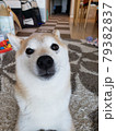 くつろぐ 79382837