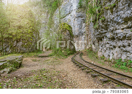 Narrow gauge railway in the deep narrow Guam canyon. Western Caucasus. 79383065