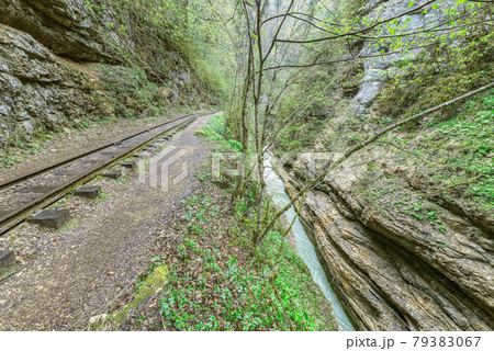 Narrow gauge railway in the deep narrow Guam canyon. Western Caucasus. 79383067