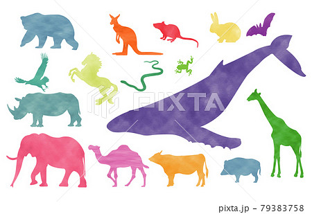 シルエット動物 シルエット動物 79383758