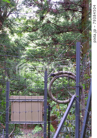 山に設置された電気柵 山に設置された電気柵 79384504
