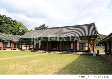 韓国 松 草花 79385350