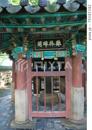 韓国 松 草花 79385382