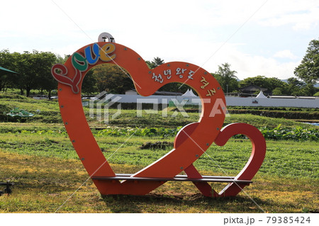 韓国 石垣 草花 79385424